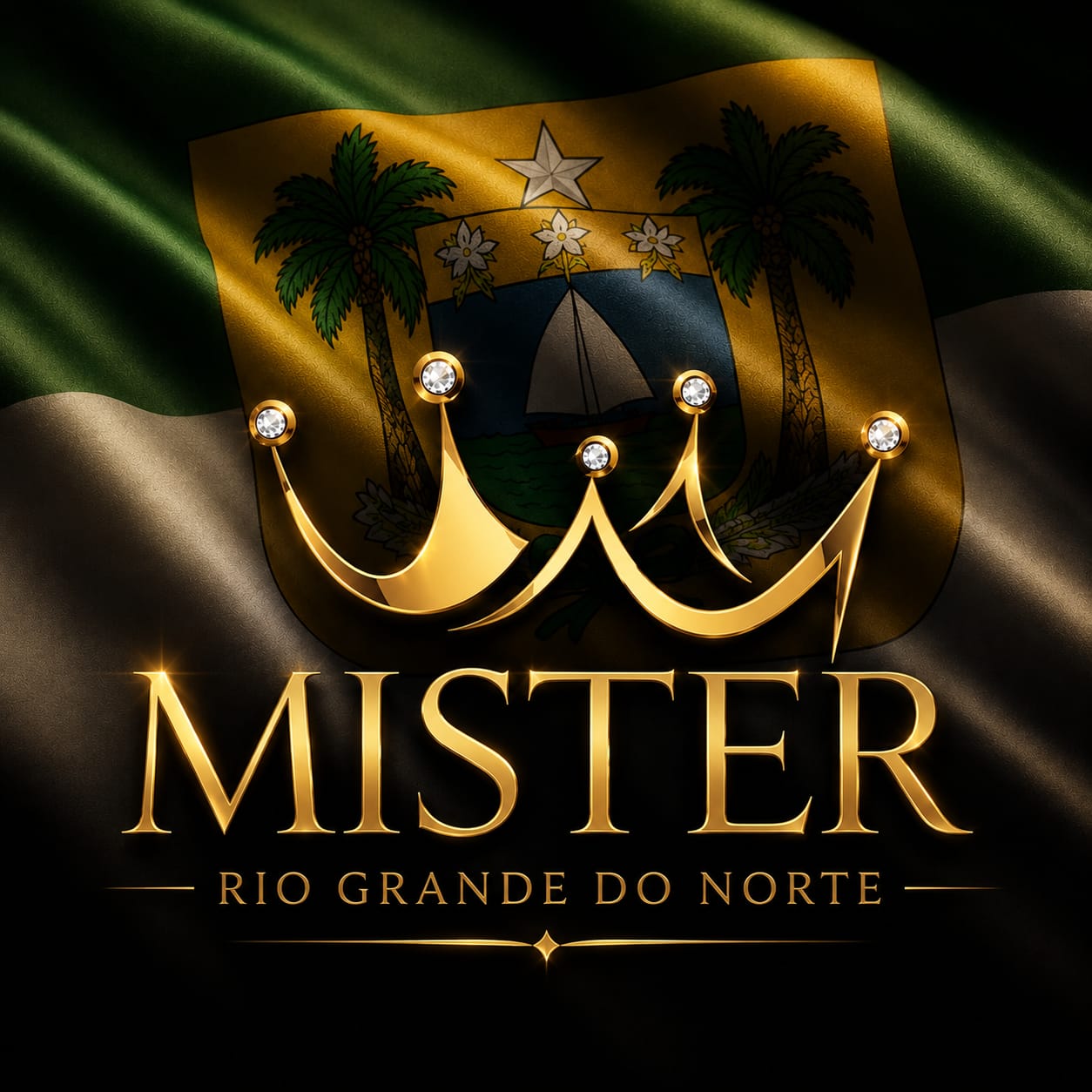 Mister Rio Grande do Norte - Etapa Digital